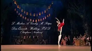 Don Quixote - Grand Pas De Deux (Sarafanov, Novikova)