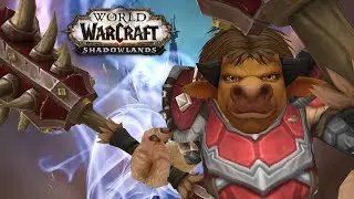TORGHAST | Verstärker Schamane Commentary - WoW Shadowlands Beta