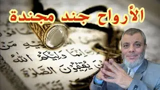 الأرواح جند مجندة