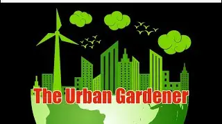 The Urban Gardener Interview  Lets Get Growing