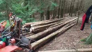 Těžba dřeva🧐 malotraktorem 🚜👍