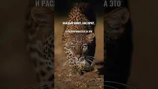 #шортс #numerology #психология #отношения #успех #motivation #цитаты #деньги #тренд #нумерология