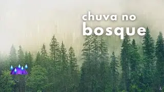 ☔ Som De Chuva No Bosque (4 h de Chuva Leve para Dormir e Relaxar)