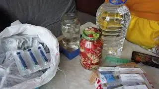 Коммерческий Ежовик Гребенчатый/Кордицепс Военный/Рейши. Магнитная мешалка. Настойка мухомора.