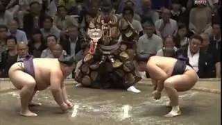 The autumn sumo tournament 2015 year 7-9 days of the Aki Basho