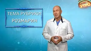 РОЗМАРИН — польза для СЕРДЦА и ИММУНИТЕТА | Формула здоровья