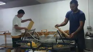 Honey extraction 2023