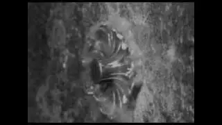Kool Savas -  Hooo Instrumental