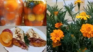 ПОМІДОРИ ПІД СНІГОМ ❄️🍅 МАРИНОВАНІ ПОМІДОРИ З МЕЛЕНИМ ЧОРНИМ ПЕРЦЕМ. 🍅 ШАУРМА. СОФІЙКА ПРИХВОРІЛА.