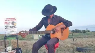 Live Guitar 