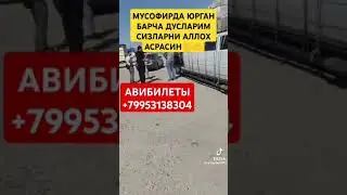 #tiktok #youtube #avto #avtomobil #automobile АВИБИЛЕТЫ +79953138304