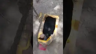Motorbike oil change