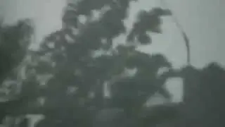 В Донецке ливень  06.2012 Rainfall. Donetsk