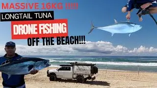 MASSIVE Longtail Tuna Drone fishing Beach Fishing Australia Land-based Game live bait