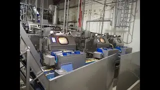 1232-300: Select optical sorting machines