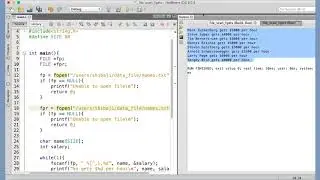 111 Writing formatted data into text file using fprintf function
