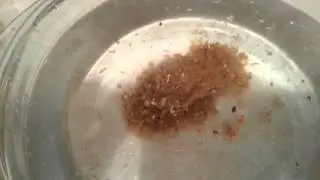 Видео от Самоделкина  .Работа фидерной прикормки 3