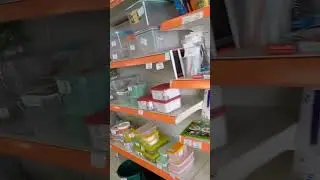 Куриловский кот
