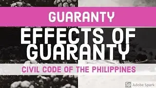 GUARANTY; Effects of Guaranty [AUDIO CODAL]