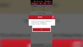 Проверка смотанного пробега на BMW