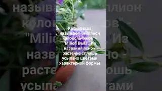 интересно знать