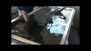 Custom Carbon Fiber Hydro Dipped Camaro ZL1 Spoiler - Voyles Performance
