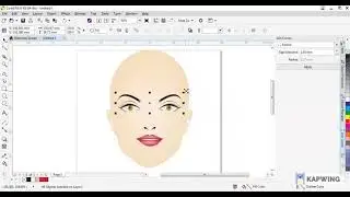 Digital Fashion Illustrations Beginners- How to Draw Face And Hairstyle(CorelDraw/Adobe Illustrator)