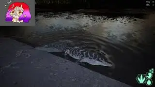Som zabiják! Part. 1| Evrima | The Isle | CZ/SK |