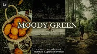 Moody Green Preset | Dark Green Preset | Moody Presets | Lightroom Presets Free DNG |