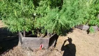 GARDEN CRUZ  10/18/24