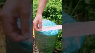 Survival Skills - Creating a Bucket Using Duct Tape #camping #survival #bushcraft #lifehack