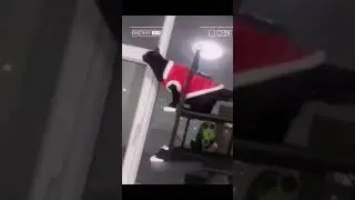 Funny Animal Videos Of The Day 0054! 😂😂 #fyp #memes #memedaily #dankmemes