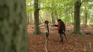 Herfsttuin van Brabant