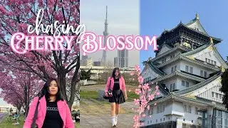 Solo Travel Diary | Spring in Japan 🌸