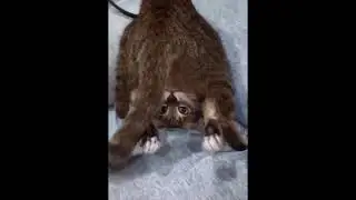 Грустно не будет…