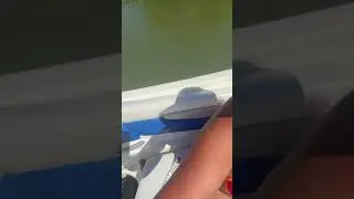 Boating