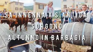 Sa innenna a s'antiga Sorgono (Vendemmia secondo tradizione)Autunno in Barbagia..2024