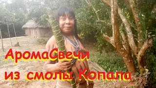 Part 2/2 Aromatic candles of the Matses tribe made of copal resin. [Аромасвечи племени Матсес]