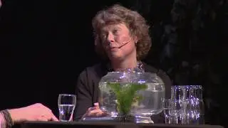 Nieuwjaarsreceptie Gemeente Stadskanaal 2019
