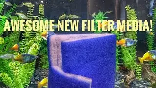 Awesome New Filter Media! (Blue Maxx)