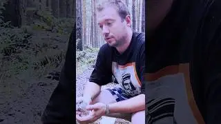 Скажите ему уже! ПТИЦЫ - ЭТО ТОЖЕ ЖИВОТНЫЕ!!!!