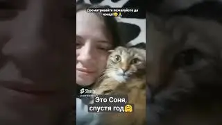 Сегодня год, как Соня живёт с нами!🥳 