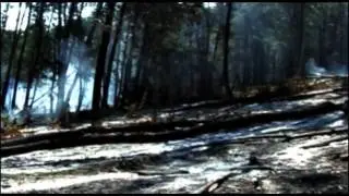 Лесной пожар