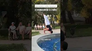 Тренировка, чтобы научиться отжиматься в стойке. Бесплатная программа тренировок по ссылке в шапке🔗
