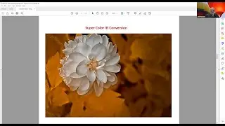 Infrared  Photography   Norm Reid & Jeff Fleisher