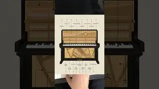 AI generated educational videos be like