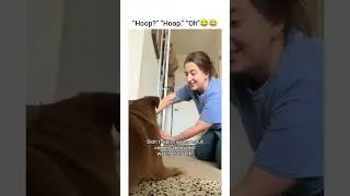 nooo hoop” “hm?” “Go Hoop” “down?” “No hoop” “hoop?” “Hoop” “oh..” 🐶😂 