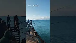 Морская рыбалка 01.01.2024, Кабардинка, Геленджик