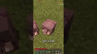 What Do Armadillos Eat in Minecraft | Minecraft Server Hosting