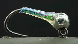 Easy Nymph For TROUT!